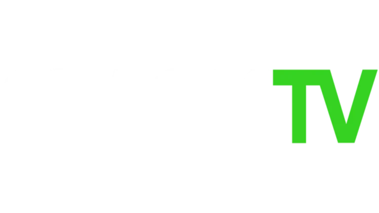 Logotyp för internationell satellitström 13